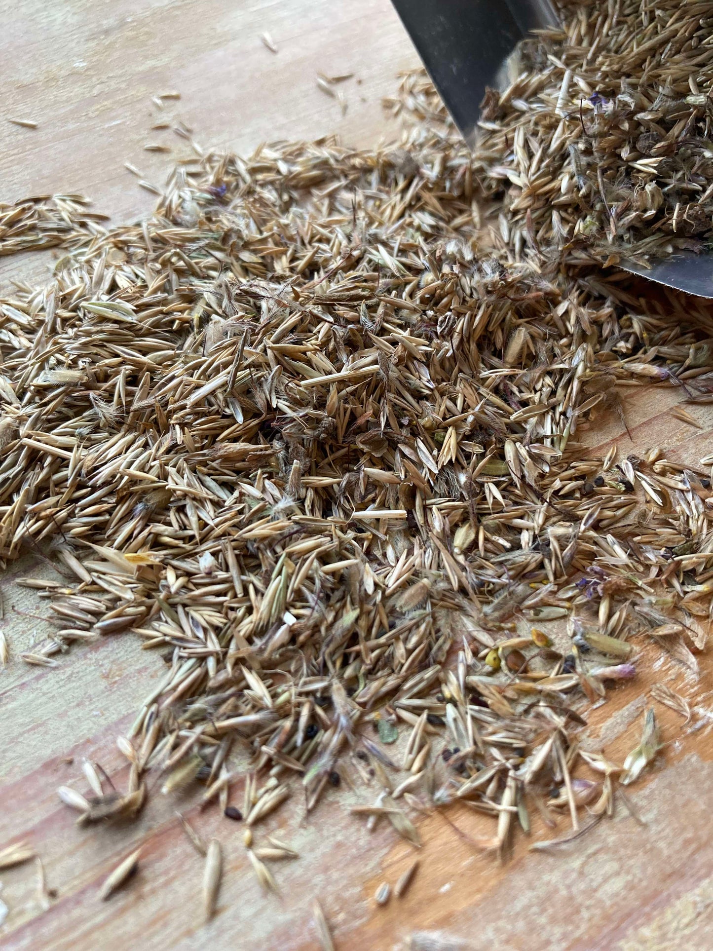 Ängsfröblandning svensk, 1000 gram